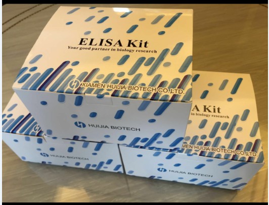 人脑啡肽(ENK)ELISA试剂盒-慧嘉生物