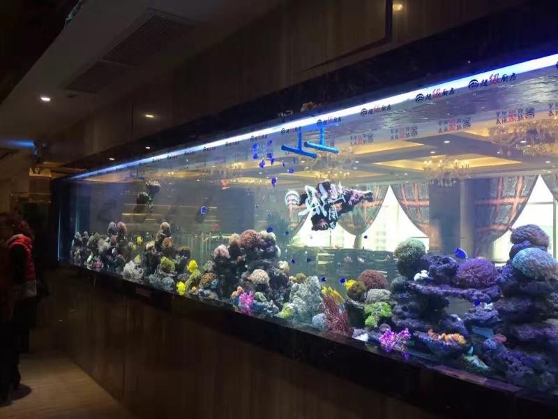 广州大型海鲜池鱼缸-选择中山洋清水族超白玻璃厂-增城专业海鲜池定做