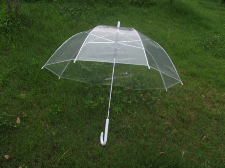 雨伞2