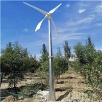 陕西2kw养殖专用风力发电机诚信品质