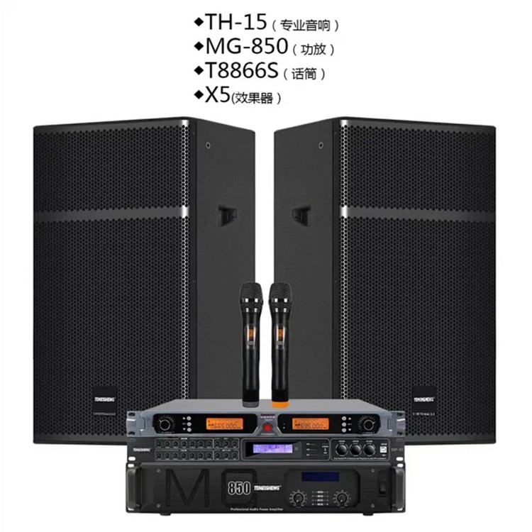 广东供应特美声音响 TH-15工程音响套装GA850后级功放+X5效果器+KT43-10真分集话筒+TH-15专业箱