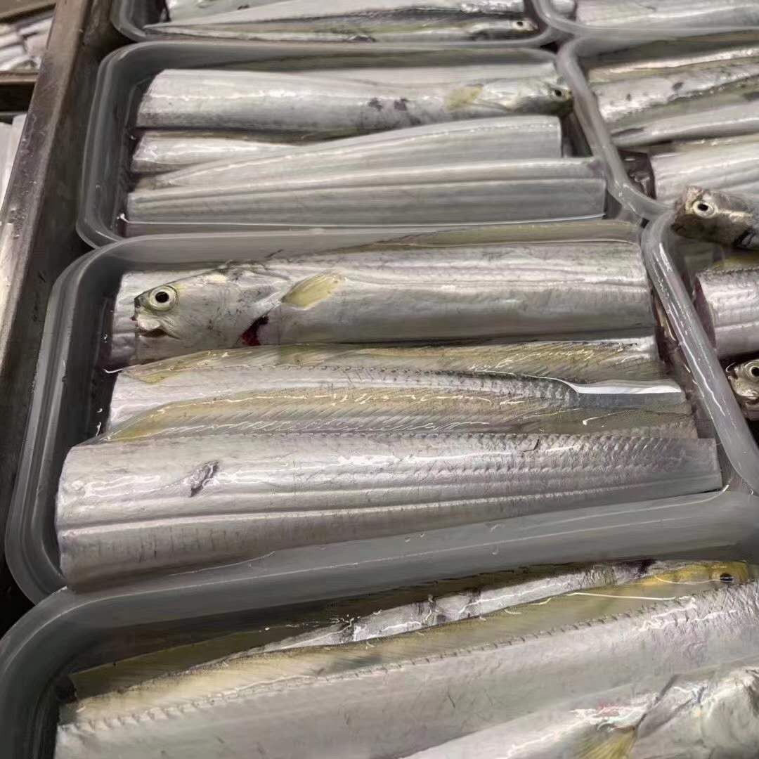 东山岛带鱼批发 黄金带鱼盒装400g价格
