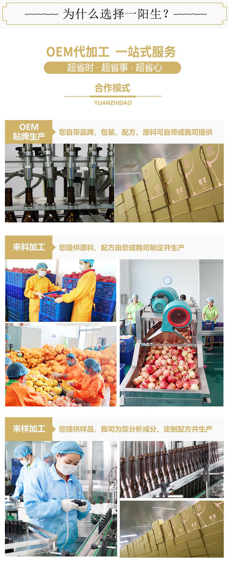 一阳生OEM代加工工厂,一体化服务