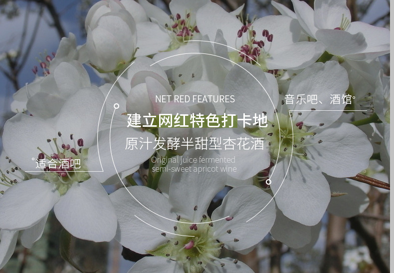 产品特点