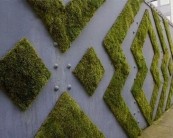 建筑节能环保系统 植物墙设计